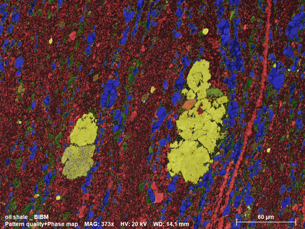 EBSD Phase map of an oil shale specimen