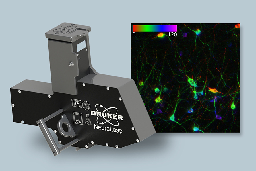 The NeuraLeap module (left) and scan of dopaminergic neurons of a mouse ventral tegmental area (120 µm section), color-coded by depth (right).
