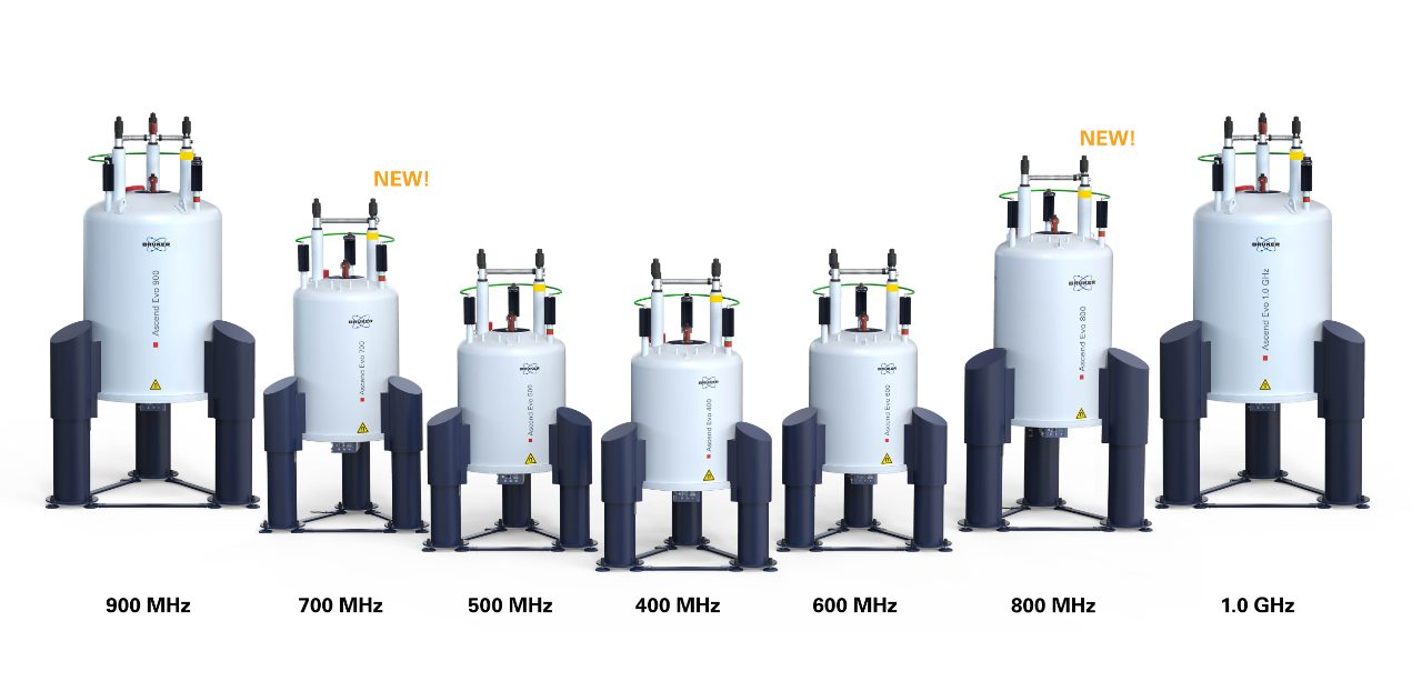 The Ascend Evo 700 and 800 are the newest members of the innovative Ascend Evo NMR magnet series that already include the 1 GHz, 900 MHz, 600 MHz, 500 MHz and 400 MHz magnets. 
