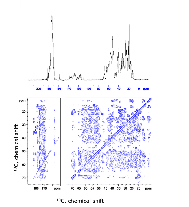 13C-13C DARR correlation recorded on ~96.7 mg  (µ- 13C, 15N) HET-s (218-289) prion domain in ~1 hr.  Courtesy of Pof. A. Loquet, CNRS Bordeaux, France