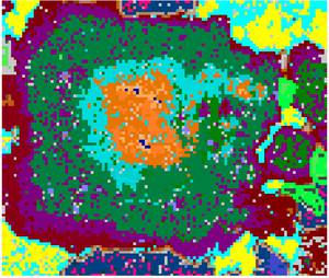 Illustration of different compositional zones identified in a plagioclase from a granite sample.