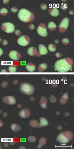 Elemental mapping (STEM EDS) at elevated temperatures. At 1000 °C, the smallest Au particles have evaporated due to their size dependent melting temperature, while the bigger Au particles and the Pd remain.