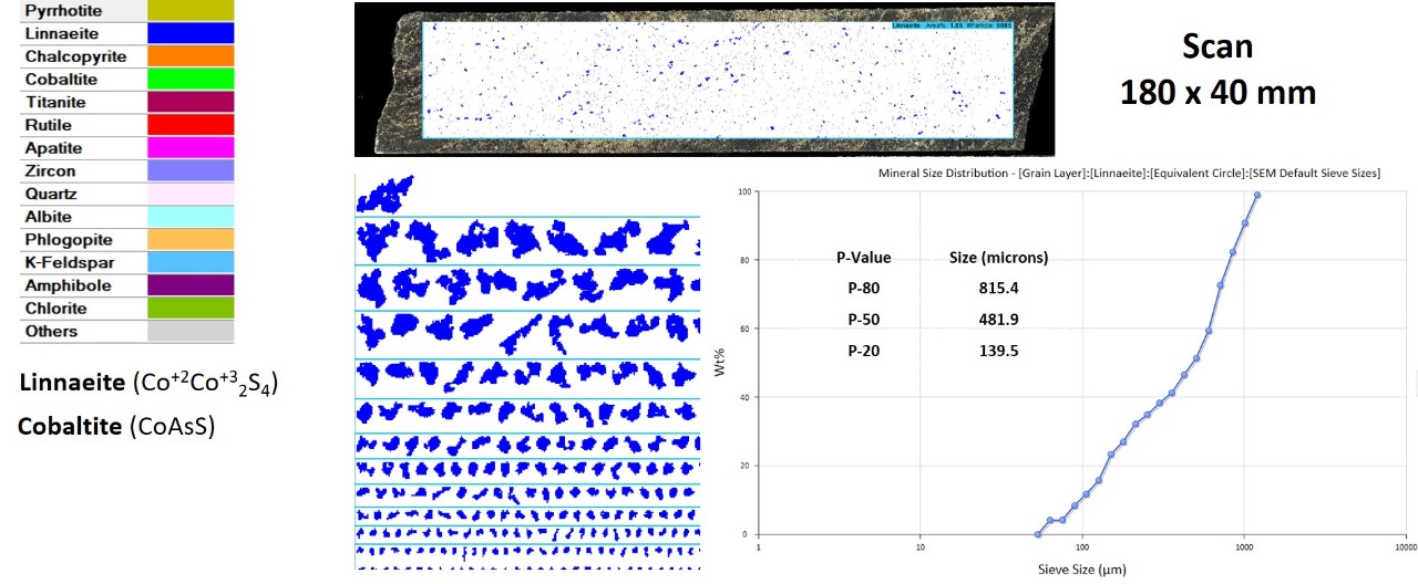 Mineralogical information from the same drill core highlighting grain size information for the cobalt sulphide, linnaeite