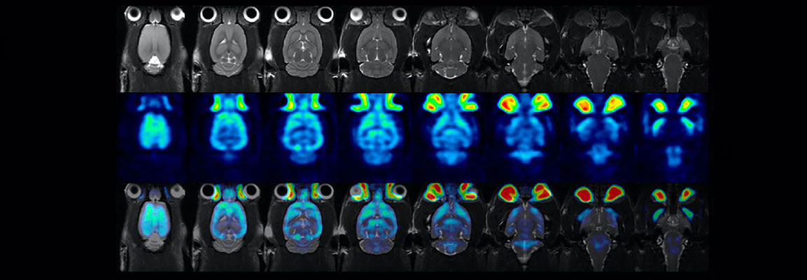 Preclinical Imaging (PCI) Webinar