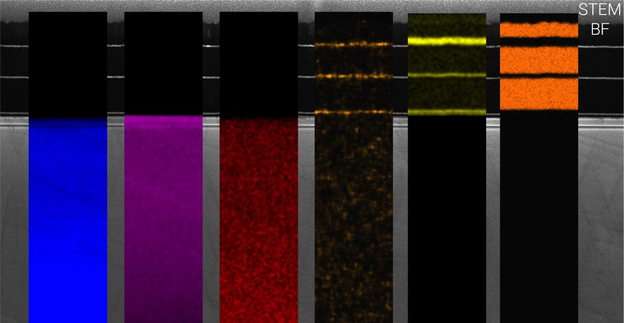 element distribution in a FIB lamella acquired by SEM EDS