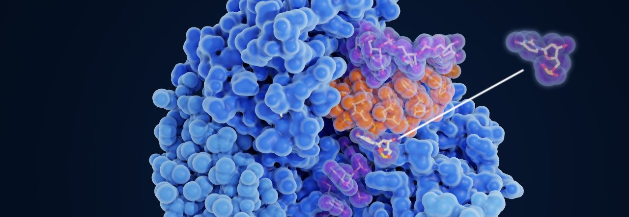 Discovery of small molecules that target RNA. NMR is the method of choice.