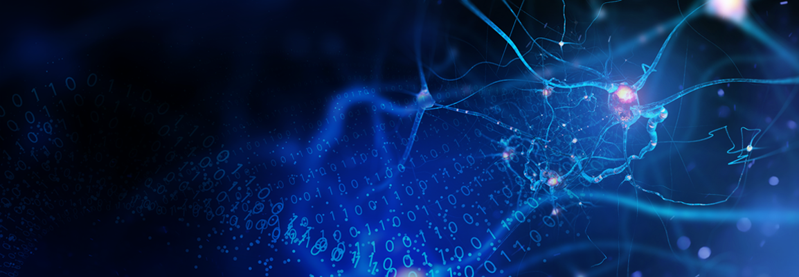 Acquifer HIVE: Big Data Management for Microscopy and Beyond | Bruker