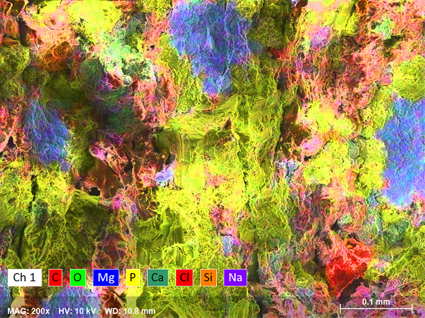 Elemental map of the internal structure of a multivitamin tablet. Different minerals (Mg, Na, P, Ca) can be seen as well as the carbon-based filler