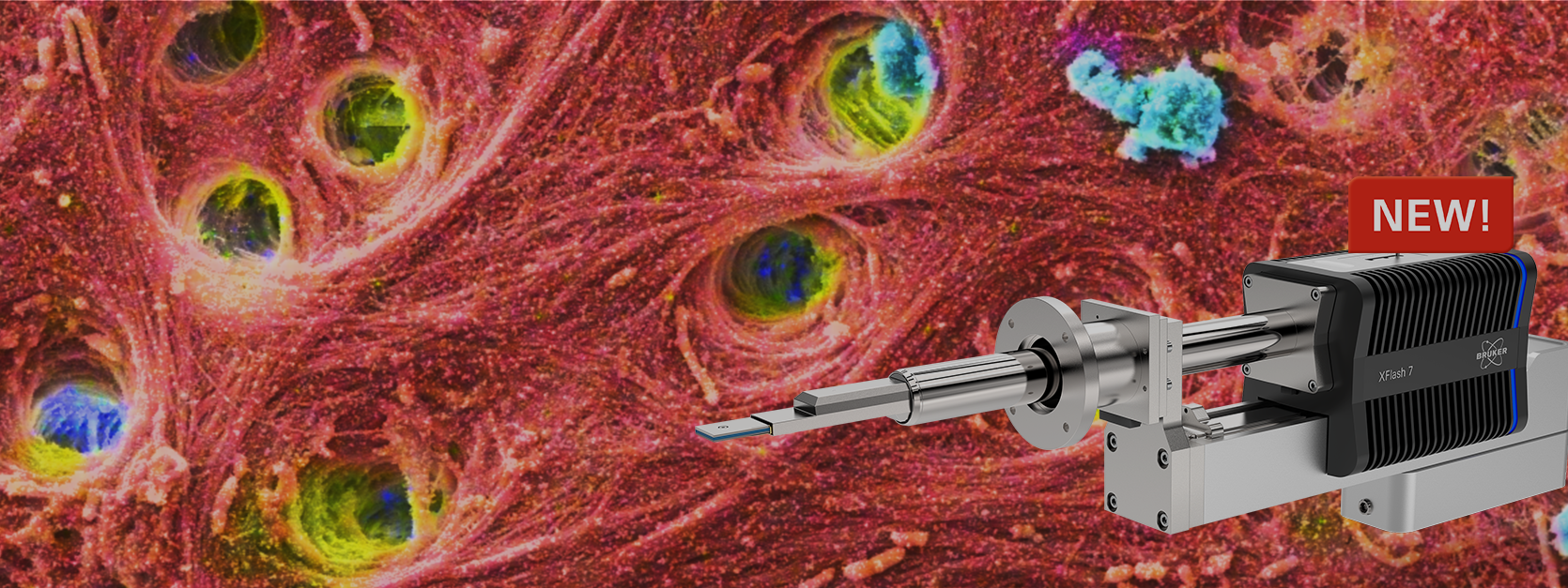 EBSD detector 