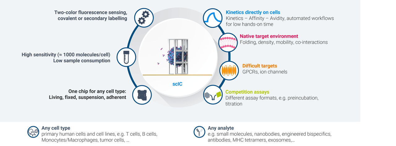 heliX cyto | Bruker