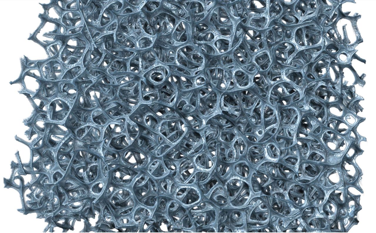 Foam