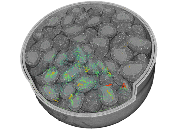 Image showing the pore size distribution inside a hard-shell capsule pharmaceutical that is filled with micro granules.