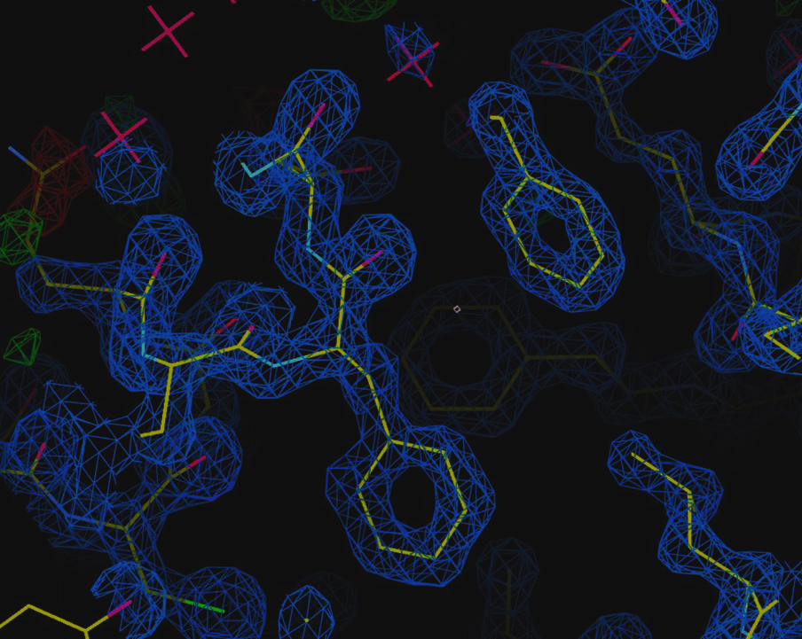protein structure