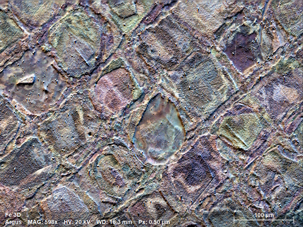  ARGUS ForeScatter (FSE) orientation contrast images of a 3d printed stainless steel specimen (Fig. 1b: measured area)