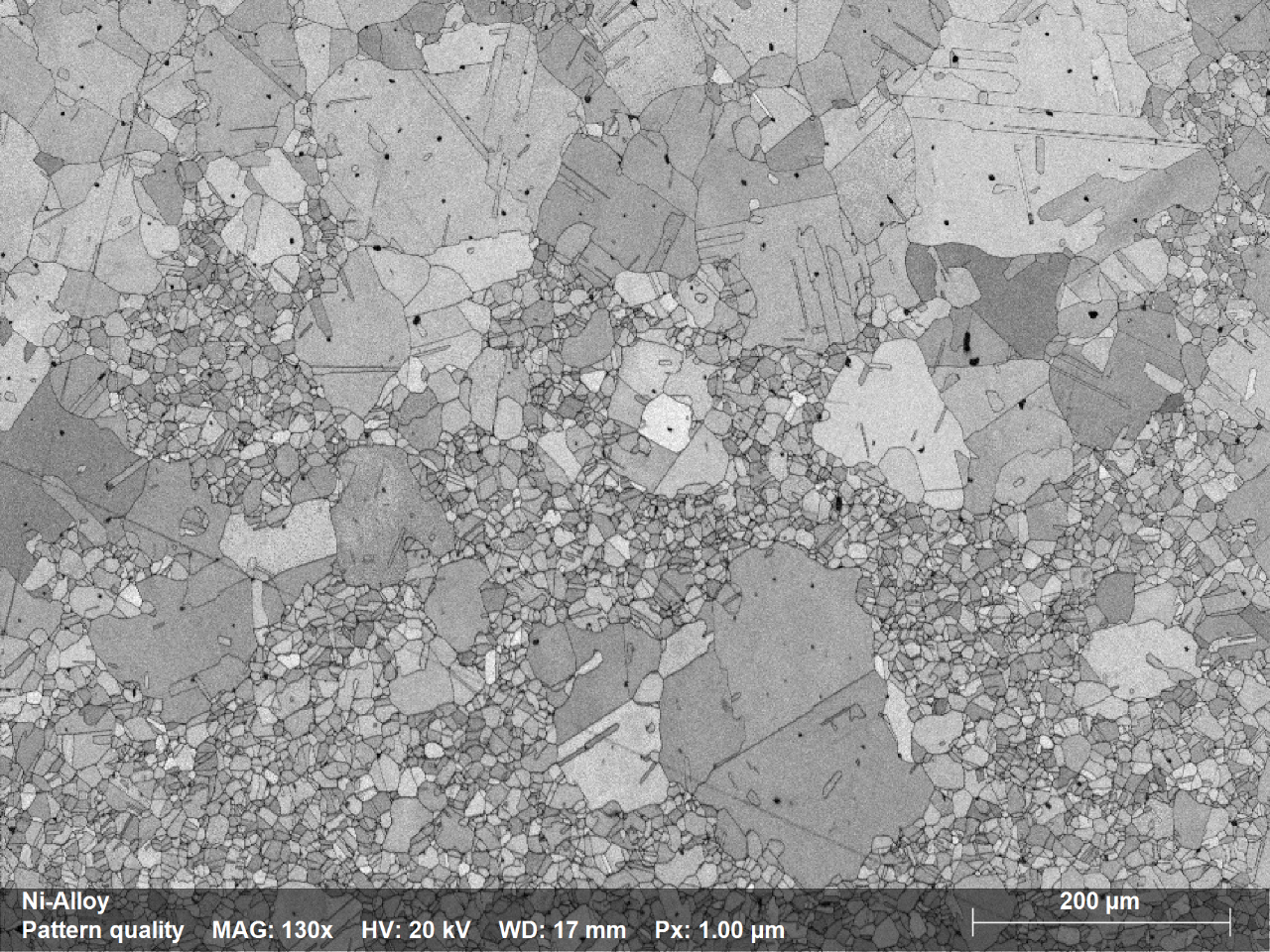 Fig. 1.1: Pattern Quality Map depicting the microstructure of a Ni-alloy sample with a bimodal distribution of grain sizes; map was acquired using e-Flash XS EBSD detector mounted on JSM IT200 SEM