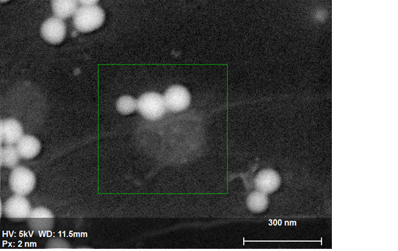 Image SE de nanoparticules de silicium sur un matériau filtrant