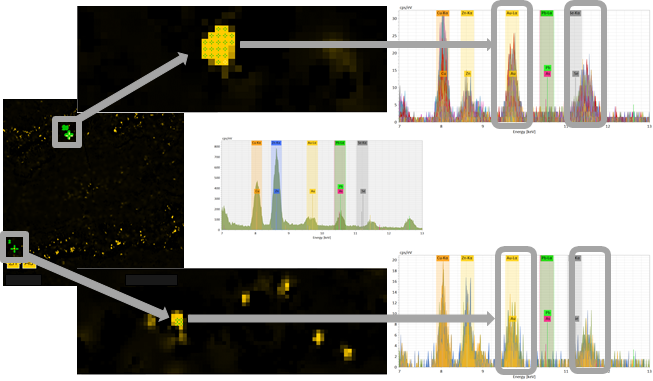 Fig. 2: SEM-XRF elemental intensity maps with overlapping Au and Zn lines.