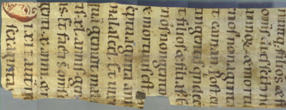 Image showing an intentionally misaligned manuscript sample for micro-XRF analysis