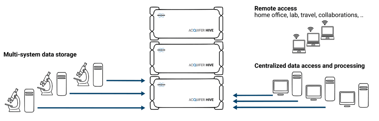 Hive Gpu The Acquifer HIVE | Bruker