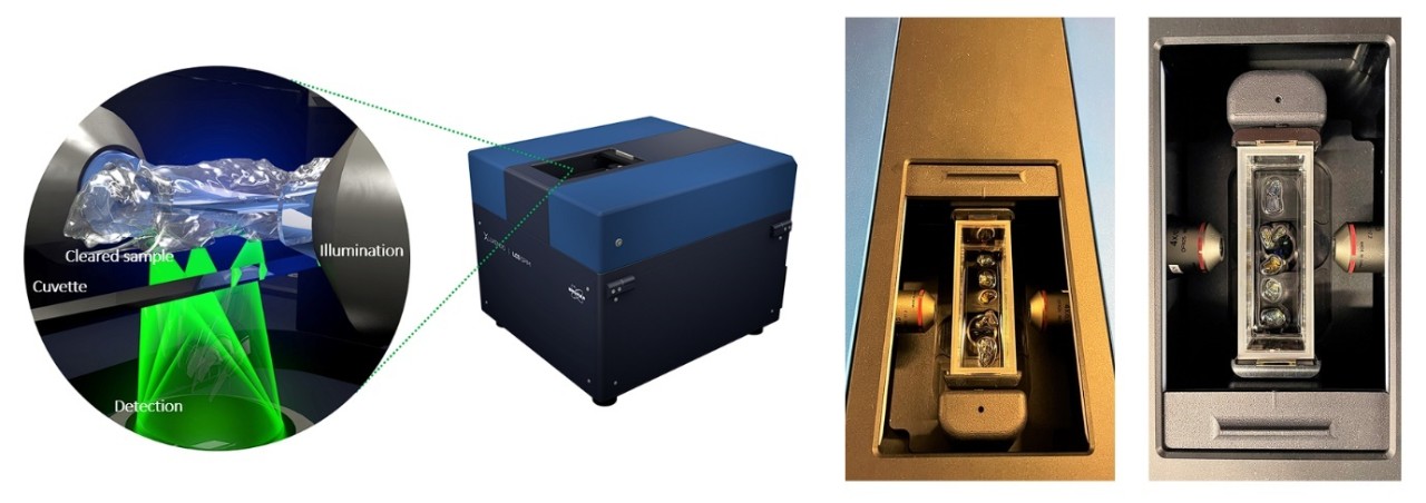 Rendering of sample cuvette in the LCS SPIM with a cleared mouse sample