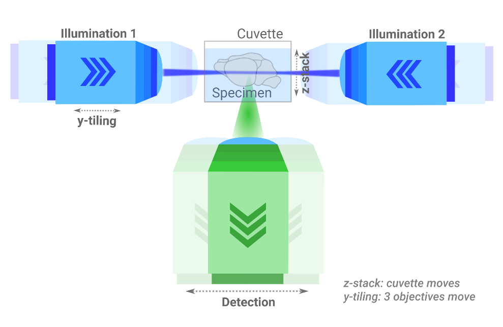 Schematic of the LCS geometry