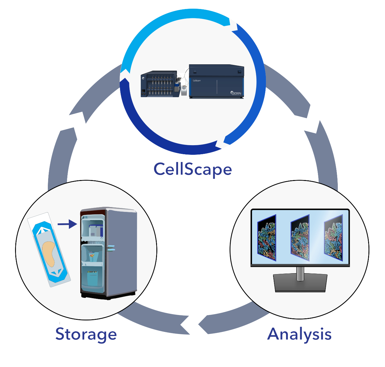 Bruker Spatial Biology CellScape | Bruker