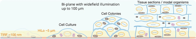 The Vutara VXL super-resolution microscope uses bi-plane detection and widefield illumination to achieve depths up to 50µm deep while imaging thick samples including tissues.