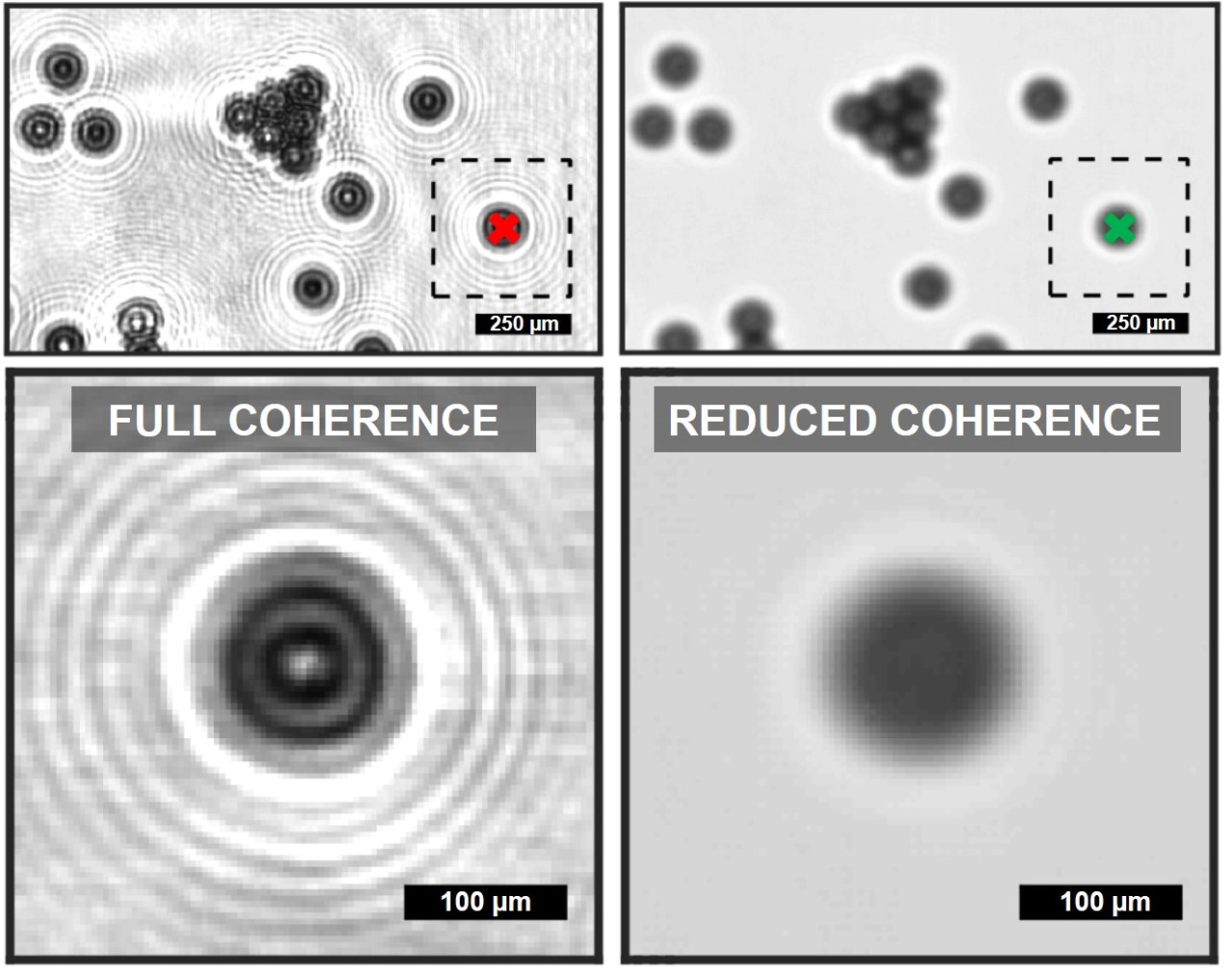 QCL-IR imaging measurements of polystyrene beads