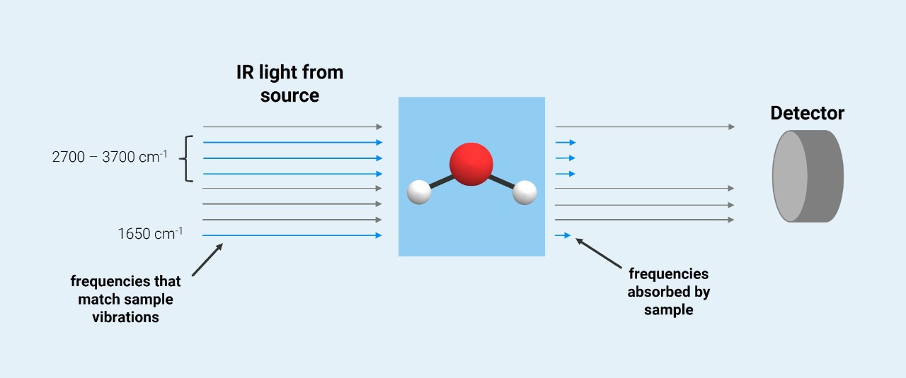 Infrared light hits a water molecule, is absorbed and directed at a detector. It is indicated, that some of the radiation is absorbed and is therefore not reaching the detector.