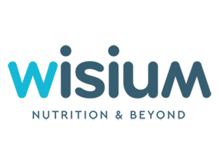 Wisium Logo