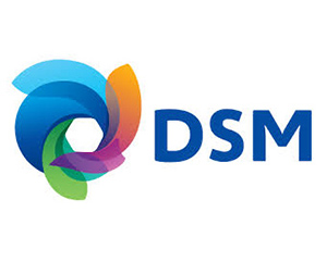 DSM Logo