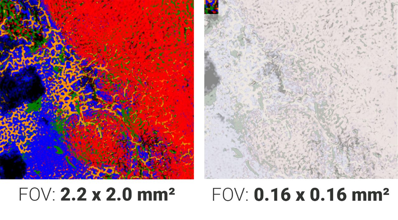 Visual comparison of fields of view (FOV) for different IR chemical imaging: The FOV for the FPA detector is represented by a smaller square (160x160 pixels), while the ILIM's FOV is visualized by a significantly larger square (640x480 pixels) on the same sample, showcasing the difference in size and data capture capabilities.