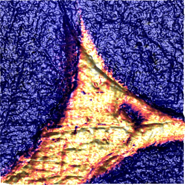 Nanochemical (AFM-IR) image of carbon fibes in epoxy resin.