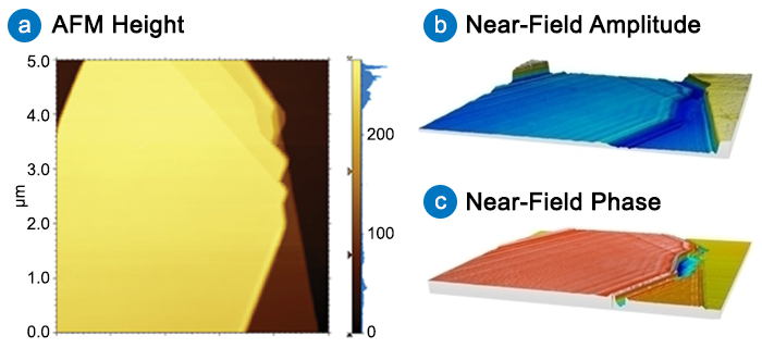 nanoIR - hBN Phonon-Polaritons