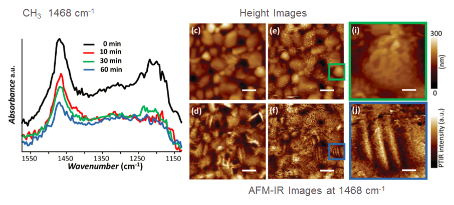 nanoIR - Organolead Triiodide Perovskites