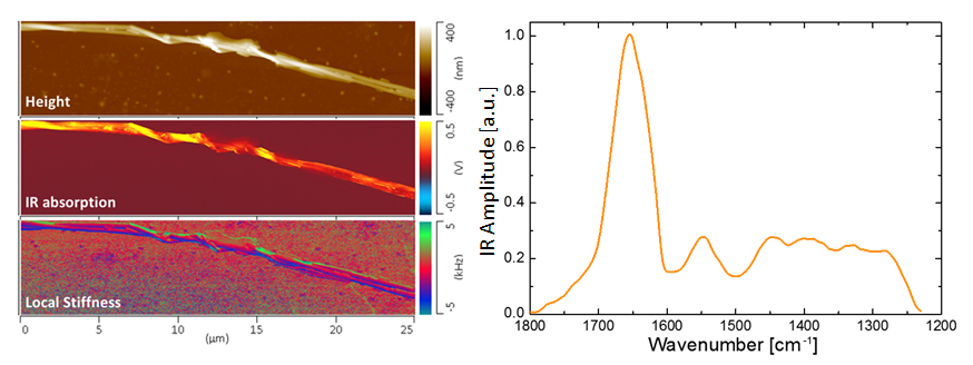 nanoIR - Protein Secondary Structure - Single Fiber