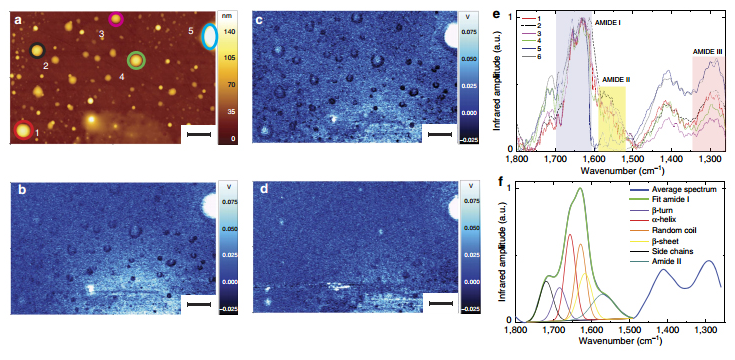 nanoIR - Protein Structures