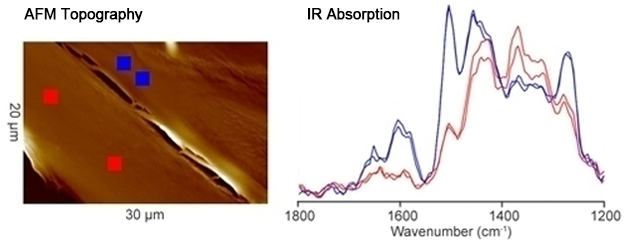 nanoIR - Chemical Analysis of Wood