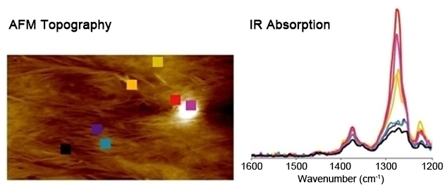 nanoIR - Biorenewable Polymer