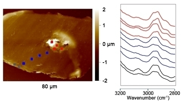 nanoIR - Chemical Analysis of Hair