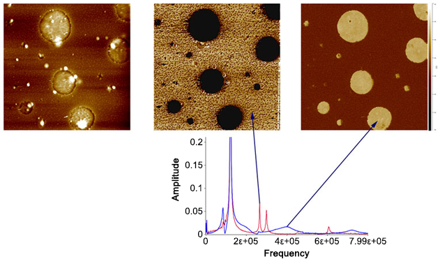 Nanomechanical and Nanothermal Property Mapping