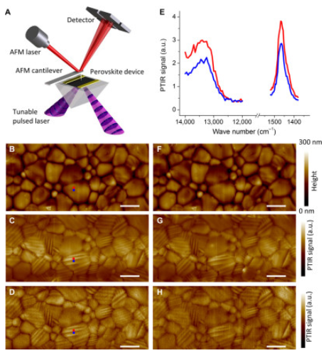 CH₃NH₃PbI₃ Perovskites