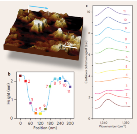 Tip-Enhanced Infrared Nanospectroscopy