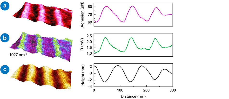 Application Note: Photothermal AFM‑IR for Semiconductor Materials and ...