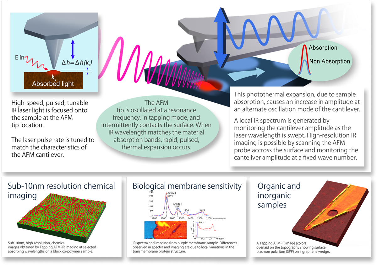 Tapping AFM-IR mode for nanoscale infrared spectrometers