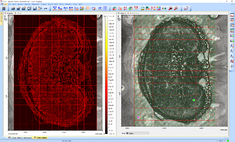 Post-run analysis using Chemical Imaging result view.