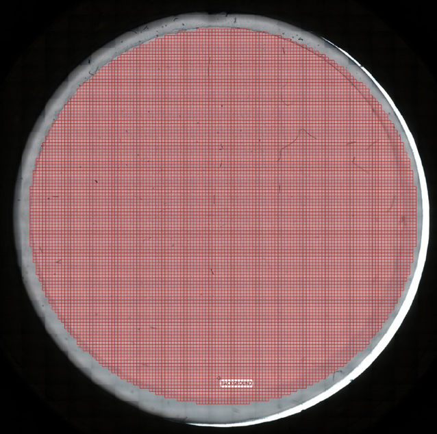 Anodisc filter with round shaped FPA measurement area.