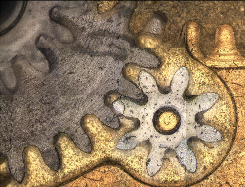 Fused image generated by 3D FocusFusion function with FTIR imaging system LUMOS II.