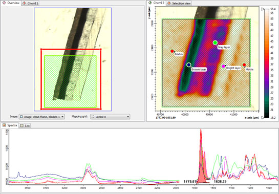 Screenshot of OPUS software: Export to MATLAB 3D format