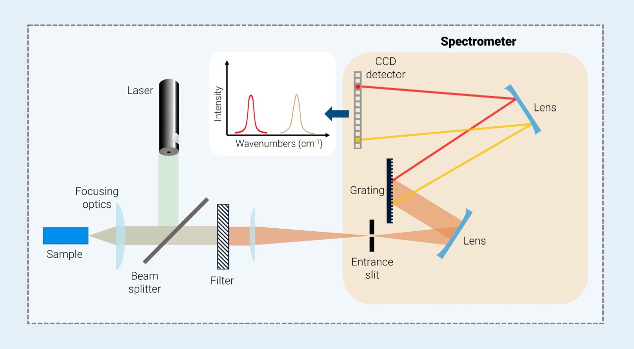 Setup of a basic spectrometer showing the beampath. The laser is directed on a beamsplitter that directs the light on the sample through focusing optics. The Raman scattered light is directed back through the beamsplitter and through a filter through an entrance slit onto a grating. The grating splits the light into individual wavelengths and these are then directed onto a CCD that will read out the light and create a Raman spectrum.